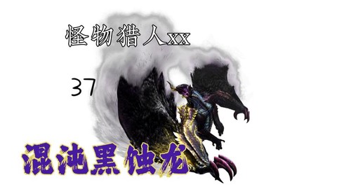 怪物猎人x怎么风格
