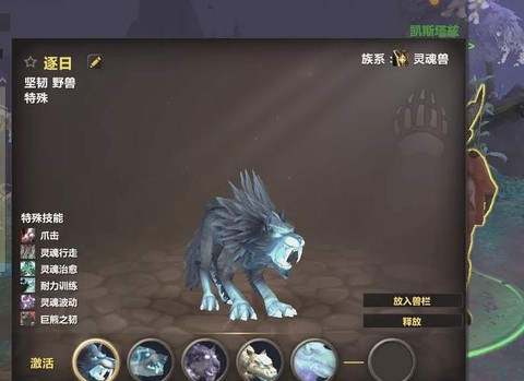 魔兽世界猎人怎么玩