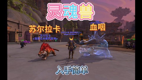 魔兽世界怎么抓灵魂兽