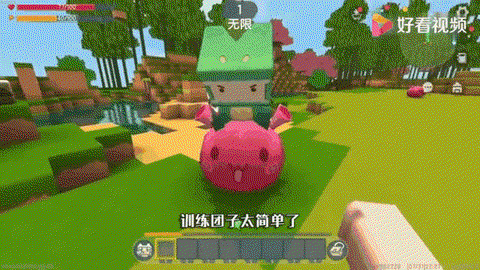 迷你世界如何驯服野生团子
