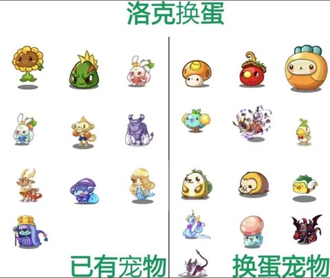 洛克王国怎么孵化蛋[图2]