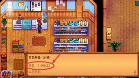 星露谷物语怎么扩大背包[图2]