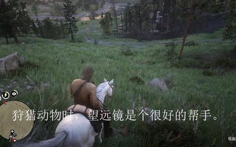 荒野大镖客打猎什么