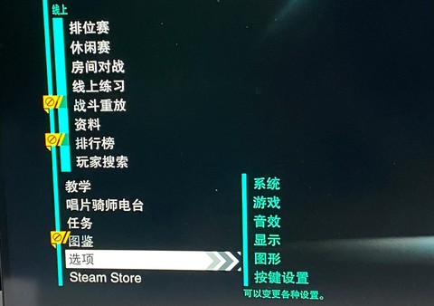 steam拳皇怎么设置中文[图2]
