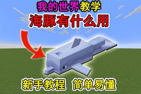 我的世界海豚有什么用[图2]