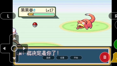 神奇宝贝火红练什么