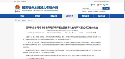湖北电子税务局