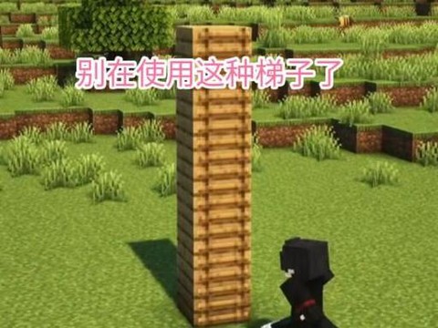 我的世界梯子怎么用[图1]