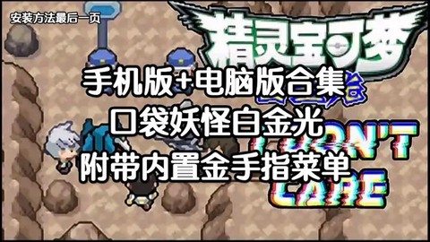 口袋妖怪白金怎么用