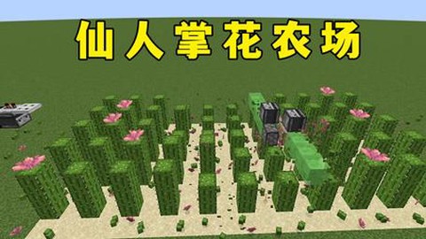 我的世界怎么种仙人掌