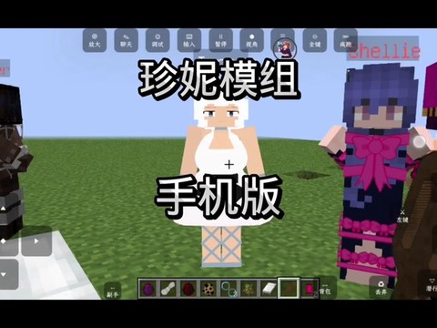 我的世界女朋友怎么弄[图2]
