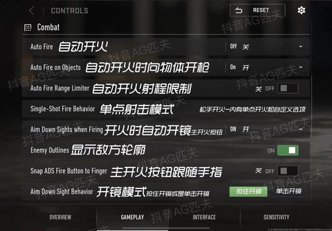使命召唤战区怎么换中文