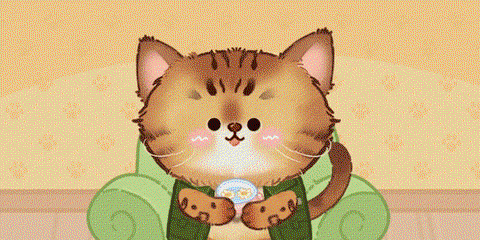 猫咪疗愈所[图3]