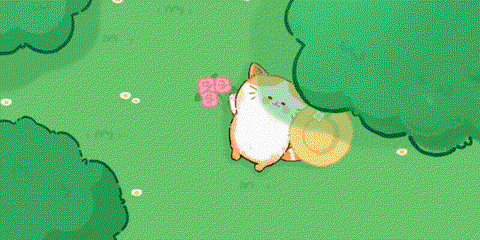 猫咪疗愈所[图4]