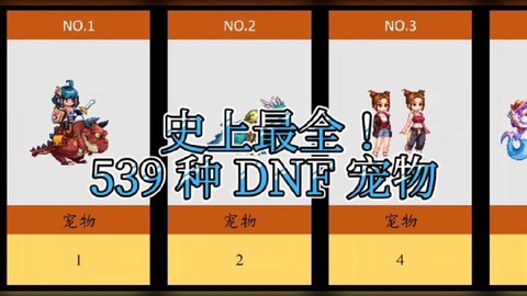 dnf3s宠物是什么