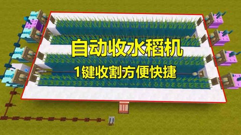 迷你世界水稻怎么收