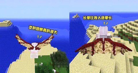 我的世界翅膀有什么用