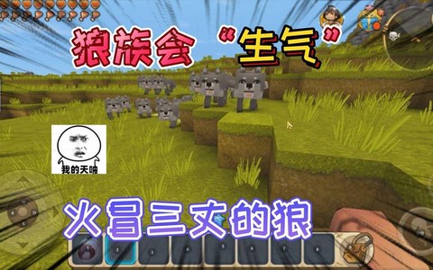 在迷你世界狼吃什么