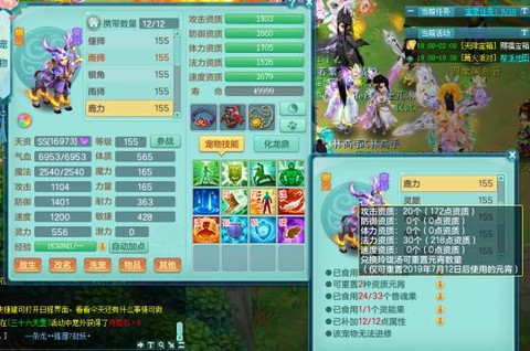 神武坐骑技能打什么