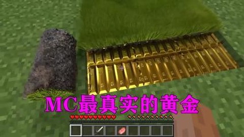 我的世界黄金怎么挖