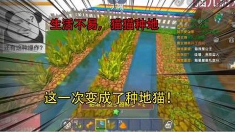迷你世界猫在什么地方[图1]