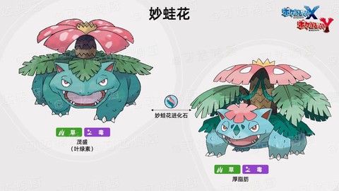 神奇宝贝xy是什么意思