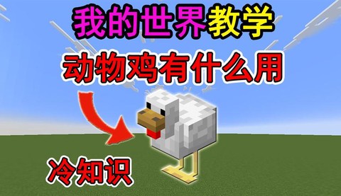 我的世界怎么让鸡变色