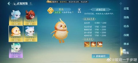 诛仙手游黄鸟怎么抓[图2]