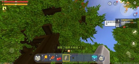 迷你世界果木树怎么种[图1]