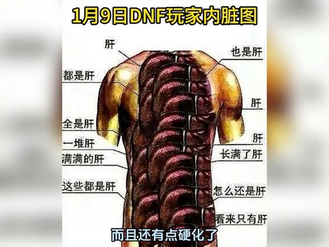 dnf肝是什么意思[图1]