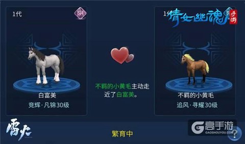 倩女幽魂如何获得马[图1]