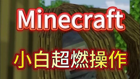 我的世界怎么打小白