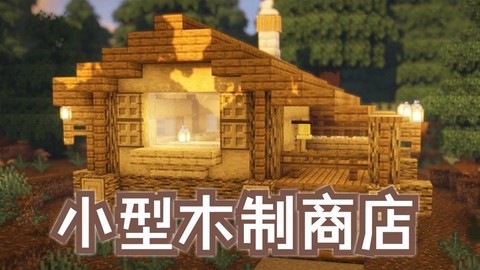 我的世界商店门怎么做