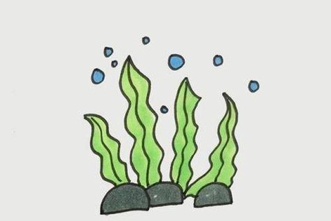 迷你世界海草有什么用