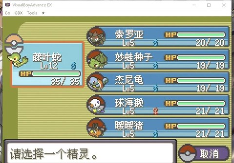 口袋妖怪漆黑的魅影琉璃岛怎么进[图1]