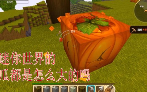 迷你世界怎么找南瓜[图2]