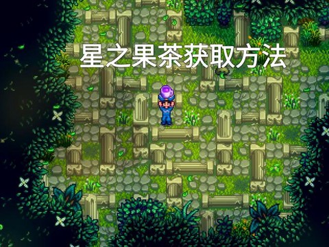 星露谷物语茶叶怎么收[图1]