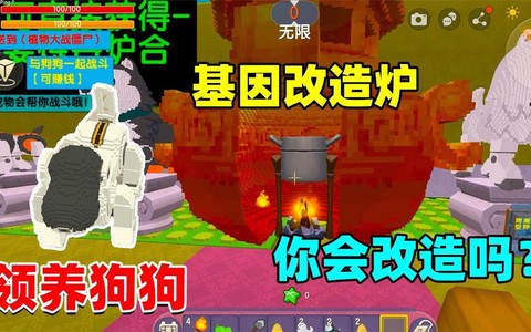 迷你世界怎么让狗染色