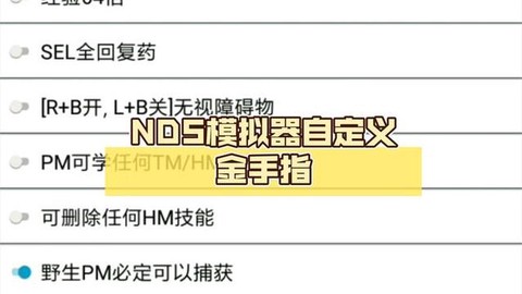 口袋妖怪nds金手指怎么用[图2]