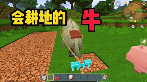 迷你世界怎么让牛打架