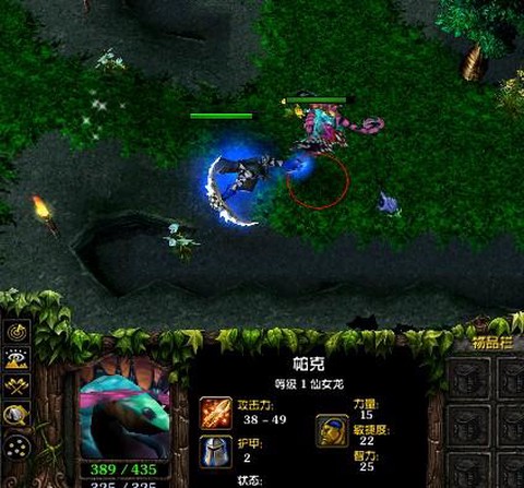 dotacw什么意思[图1]