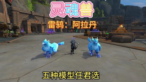 魔兽世界带什么宠物好