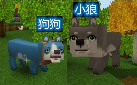 迷你世界的狗怎么养[图1]