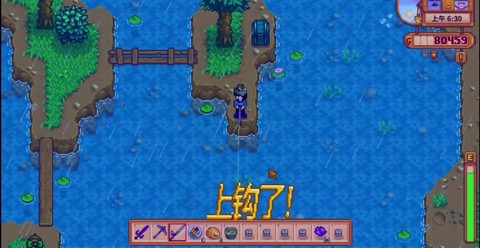 星露谷物语鱼竿放什么