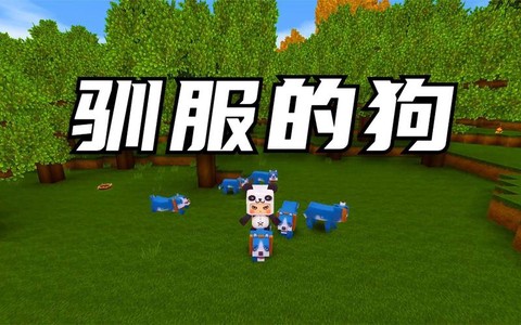 迷你世界中怎么训练狗[图1]
