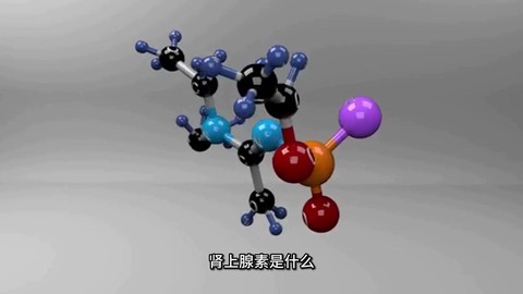 绝地肾上腺素有什么用