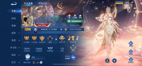 王者荣耀单排什么意思