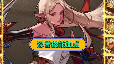 dnf忍者用什么武器