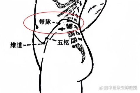 九阴真经怎么开带脉