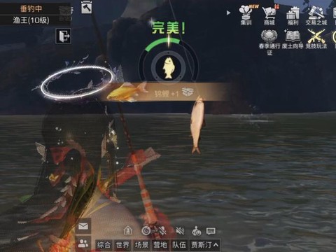 明日之后怎么钓鲨鱼